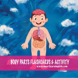 anatomy of the human body - body parts
