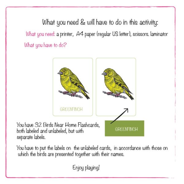 image on what to di with birds near home flashcards