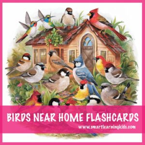 Illustration of various birds near a house, part of the "Birds Near Home" activity, designed to help children identify and learn about different bird species commonly found around homes.