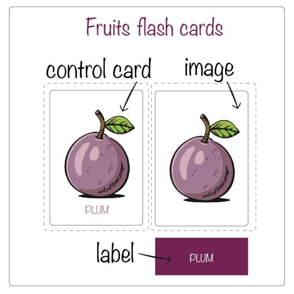 Two fruits flashcards side by side: one control card with an illustrated apple and the word "Apple," and one card with just the apple image, accompanied by a separate label