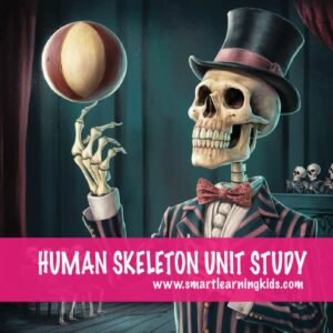 funny human skeleton spinning a ball on his finger, representative image for Human Skeleton Unit Study