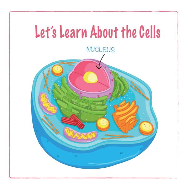 AN IMAGE OF THE ACTIVITY LER'S LEARN ABOUT THE HUMAN CELLS ON SMARTLEARNINGKIDS.COM