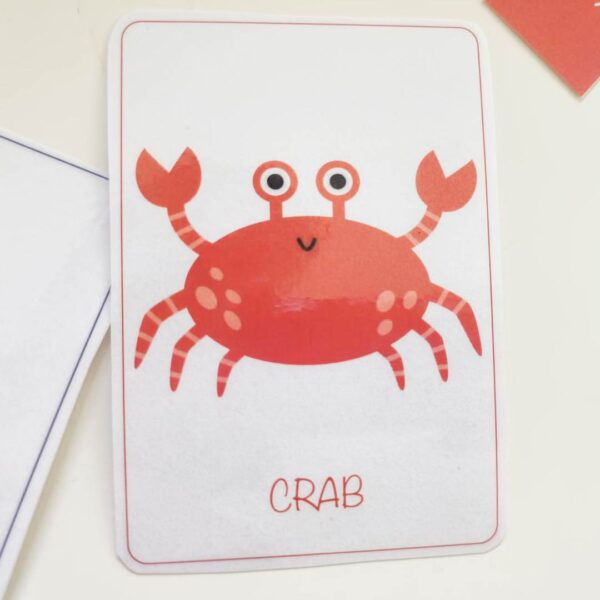 MARINE LIFE  FLASHCARDS - Image 4