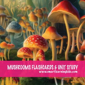 MUSHROOMS FLASHCARDS & UNIT STUDY