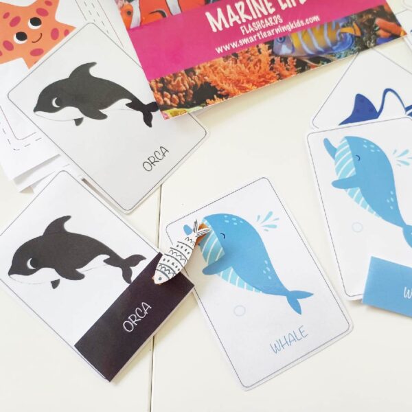 MARINE LIFE  FLASHCARDS - Image 3