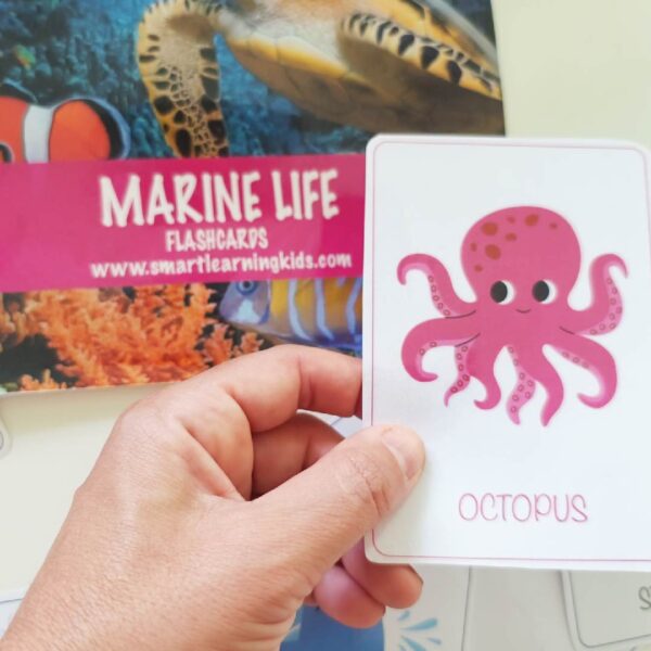 MARINE LIFE  FLASHCARDS - Image 5